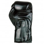 Перчатки боксерские Fairtex  (BGV-6 Black)